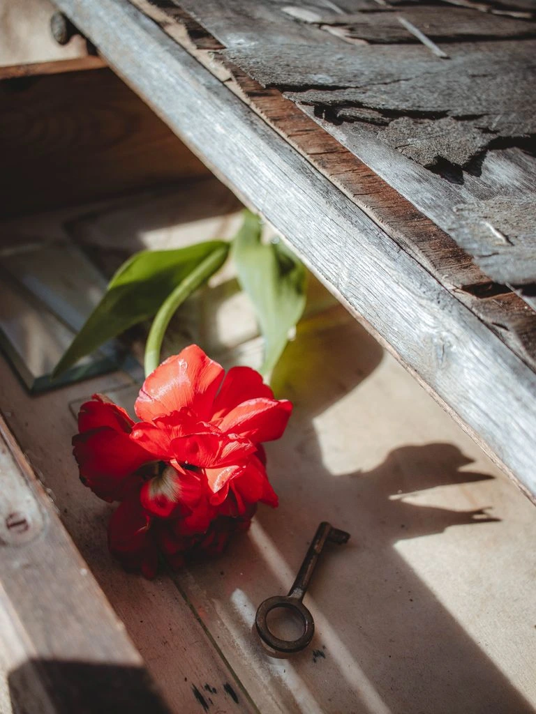 A still life of ceramics, printmaking and coastal flowers arranged on a workshop table.